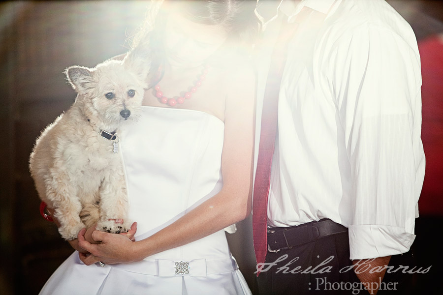 fashion wedding day after portrait session with Sheila Hannus in Dallas Fort Worth Texas at Mockingbird Station