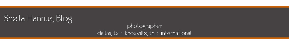 Sheila Hannus Blog logo