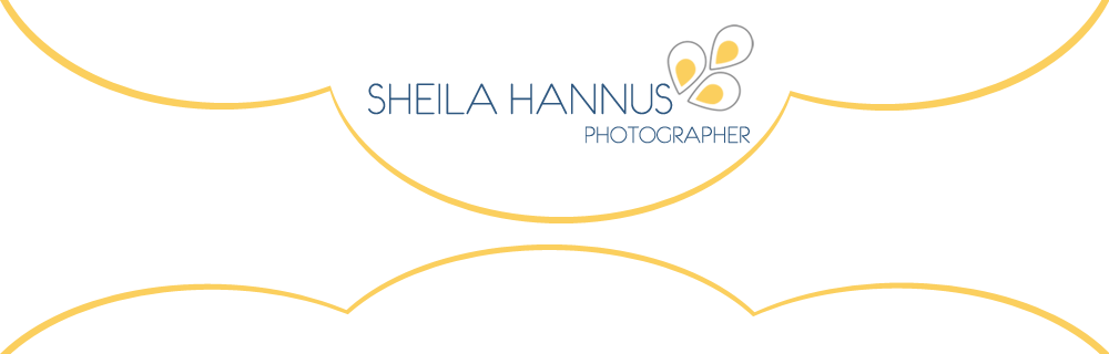 Sheila Hannus Blog logo