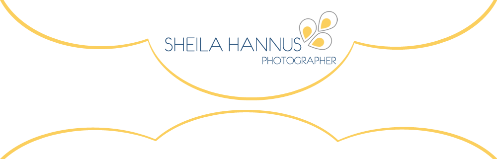 Sheila Hannus, Knoxville Wedding Photographer logo
