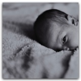 Portfolio2_056